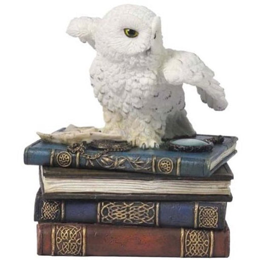 Snow Owl on Books Trinket Box - for just $34! 