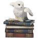 Snow Owl on Books Trinket Box - for just $34! 