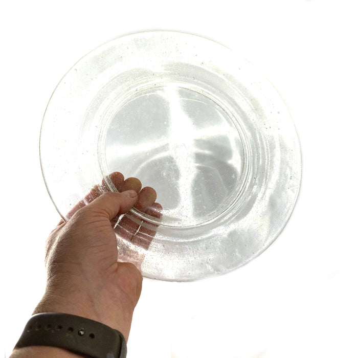 SMASHProps Breakaway Large Dinner Plate - for just $23! 