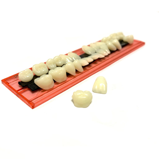 Professional Grade Fake Resin Teeth Set - 28 Pieces - for just $13! 