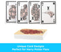 Aquarius Playing Cards: Harry Potter - Gryffindor - for just $6.99! 