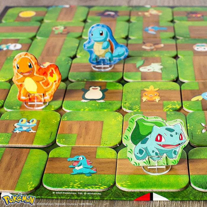 Pokemon Labyrinth - for just $36.99! 