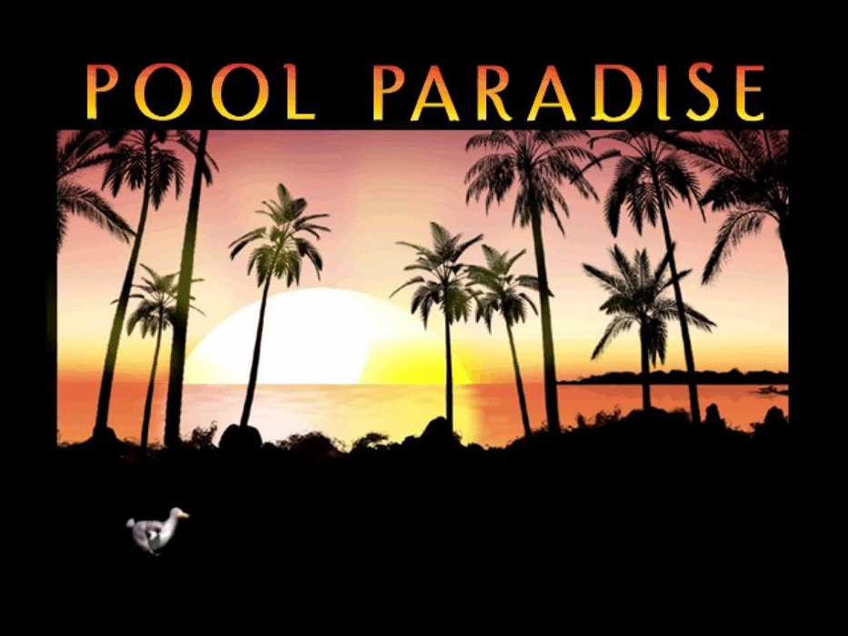 Pool Paradise – GameCube (GC) - for just $12.99! 
