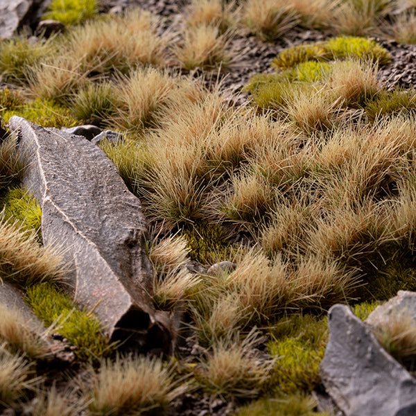 Gamers Grass Tufts: Autumn 5mm- Wild - for just $5.95! 