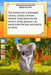 Paws & Claws: Pet Vet: Australian Adventures — Nintendo DS (DS) - for just $5.99! 