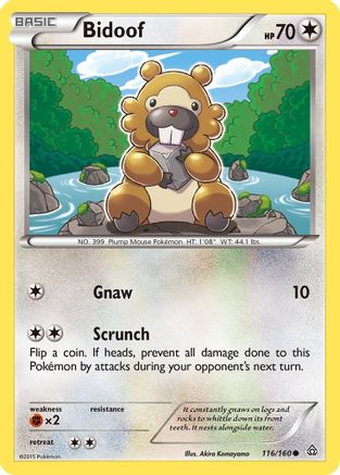 Bidoof 116/160 - XY  Primal Clash - for just $0.08! 