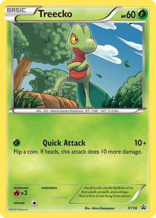 Treecko XY36/211 - XY Promos Holofoil - for just $0.48! 