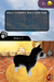 Paws & Claws: Dogs and Cats: Best Friends – Nintendo DS (DS) - for just $0! 