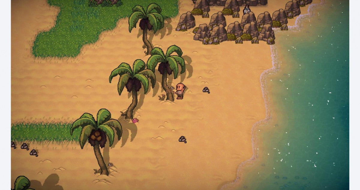 The Survivalists – Nintendo Switch (NS) - for just $20.99! 