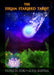 The Sirian Starseed Tarot - for just $29.95! 