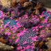 Gamers Grass Tufts: Tiny Alien Tufts- Neon 2mm - for just $10.99! 