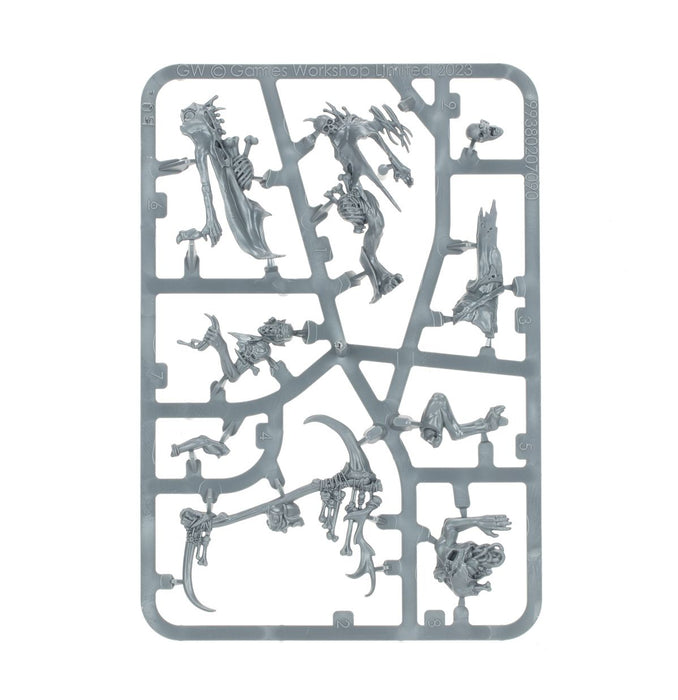 Warhammer: Age of Sigmar - Flesh-Eater Courts - Marrowscroll Herald - for just $39! 