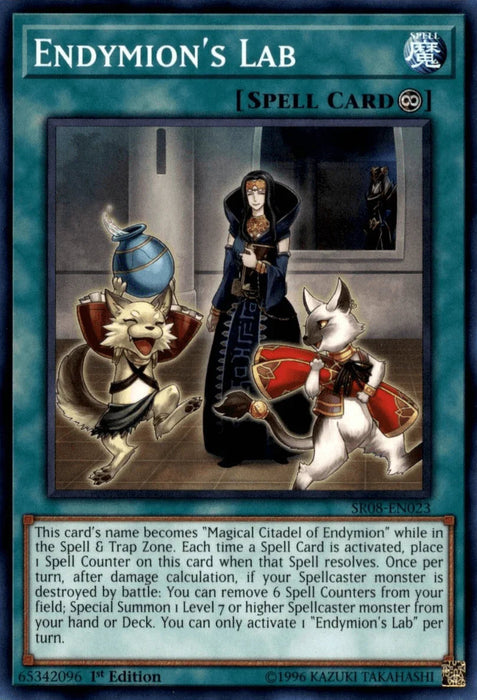 Endymion's Lab [SR08-EN023] Common - for just $0.10! 