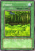 Forest [LOB-046] Common - for just $0.15! 