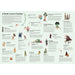 A Book Lover's Garden 1000 Piece Jigsaw Puzzle Laurence King - for just $24.99! 