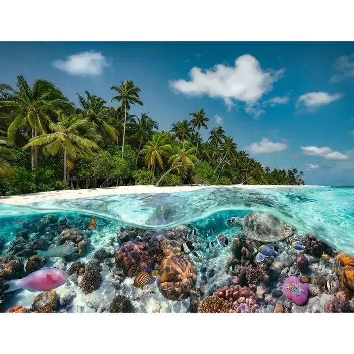 A Dive in Maldives 2000 Piece Jigsaw Puzzle Ravensburger - for just $39.99! 