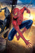 Spider-Man 3 Game & Movie Bundle (PlayStation 2) - for just $14.99! 
