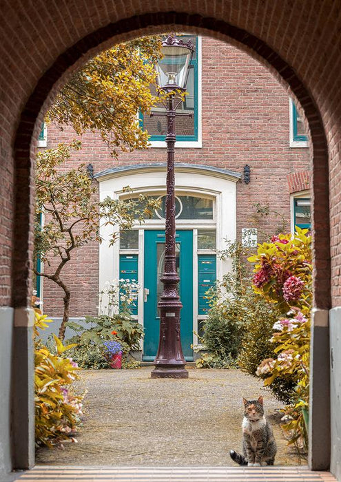 Jeneral Collectives: wholesome times - Purfect Garden 1000 Piece Jigsaw Puzzle - for just $24.99! 