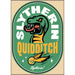 Harry Potter: Slytherin Quidditch Stamp Magnet - for just $4.49! 