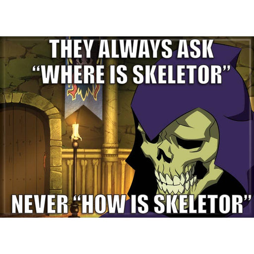 Masters of the Universe: Never How is Skeletor Magnet - for just $4.49! 