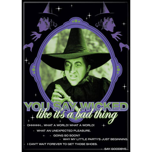 Wizard of Oz: You Say Wicked Like it’s a Bad Thing Magnet - for just $4.49! 
