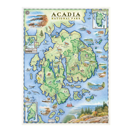 Acadia National Park 1000 Piece Jigsaw Puzzle Xplorer Maps - for just $24.99! 