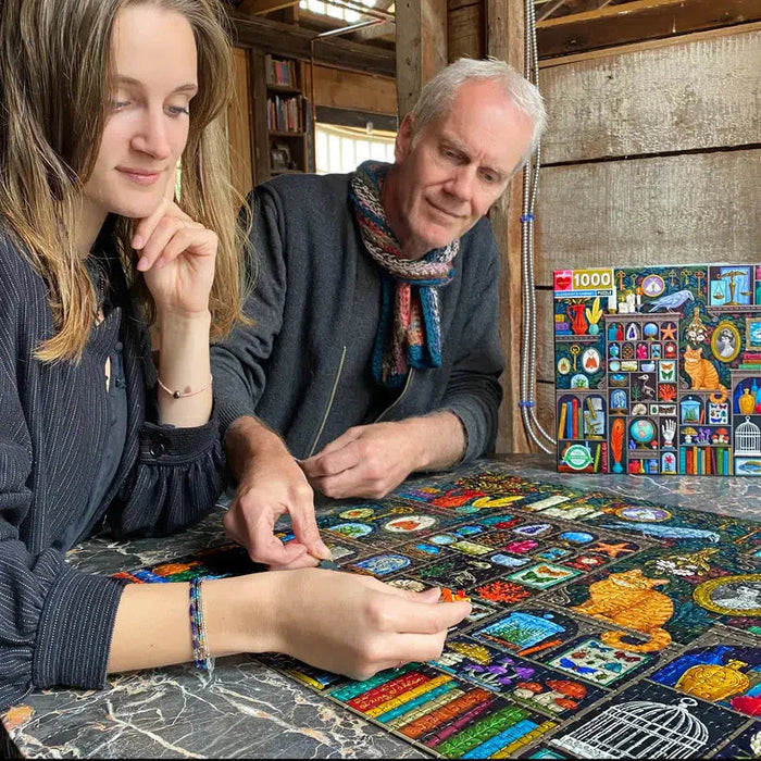 Alchemist's Cabinet 1000 Piece Jigsaw Puzzle eeBoo - for just $26.99! 