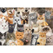 All the Cats 1000 Piece Jigsaw Puzzle Peter Pauper - for just $19.99! 