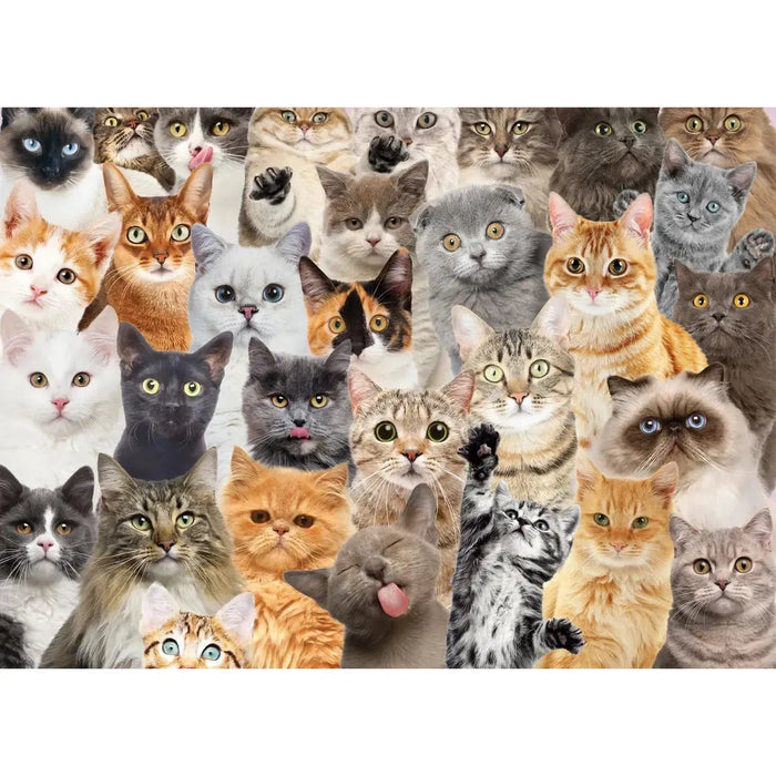 All the Cats 500 Piece Jigsaw Puzzle Peter Pauper - for just $19.99! 