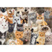 All the Cats 500 Piece Jigsaw Puzzle Peter Pauper - for just $19.99! 
