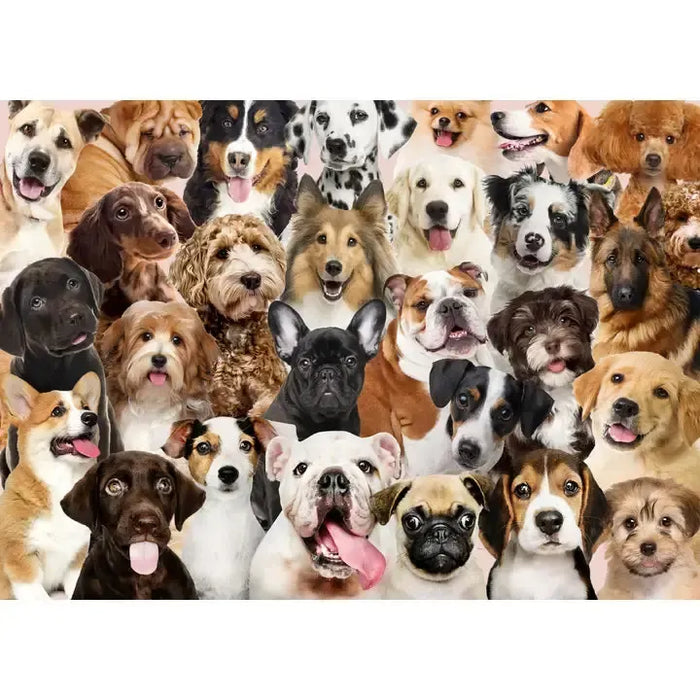 All the Dogs 1000 Piece Jigsaw Puzzle Peter Pauper - for just $19.99! 