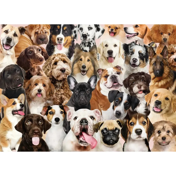 All the Dogs 500 Piece Jigsaw Puzzle Peter Pauper - for just $19.99! 