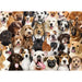 All the Dogs 500 Piece Jigsaw Puzzle Peter Pauper - for just $19.99! 