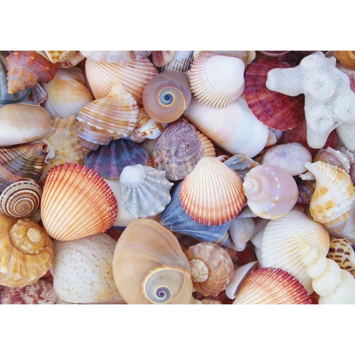 All the Shells 1000 Piece Jigsaw Puzzle Peter Pauper - for just $19.99! 