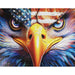American Eagle 1000 Piece Jigsaw Puzzle Springbok - for just $19.99! 