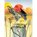 American Kestrel 1000 Piece Jigsaw Puzzle NYPC - for just $28.99! 
