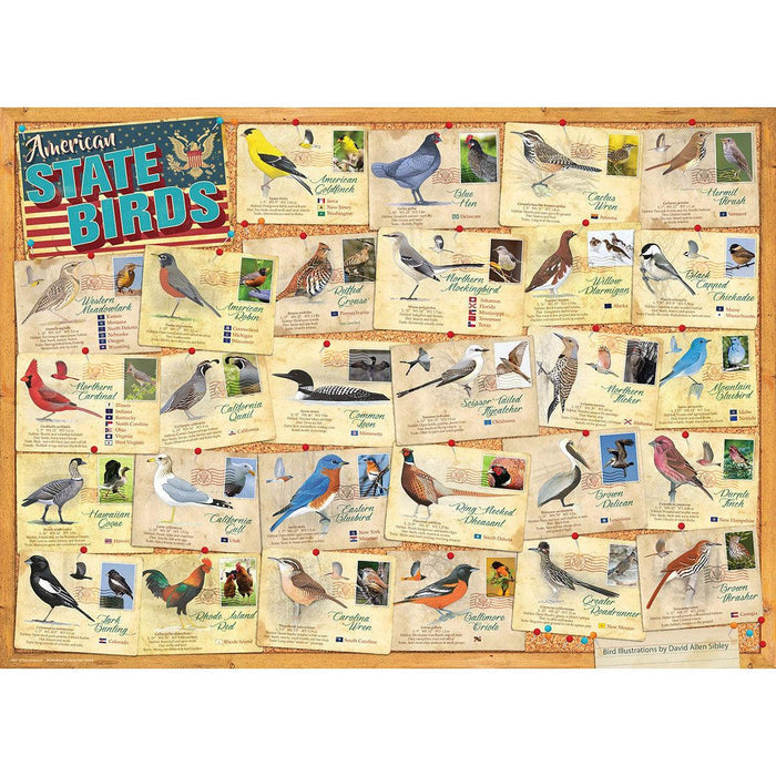 American State Birds 1000 Piece Jigsaw Puzzle Eurographics - for just $19.99! 