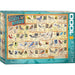 American State Birds 1000 Piece Jigsaw Puzzle Eurographics - for just $19.99! 
