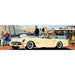 America's Sports Car 750 Piece Panoramic Jigsaw Puzzle NYPC - for just $23.99! 