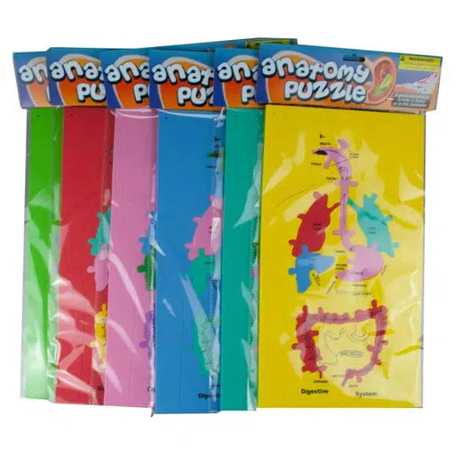 Anatomy 11 Piece Foam Puzzle - for just $5.99! 