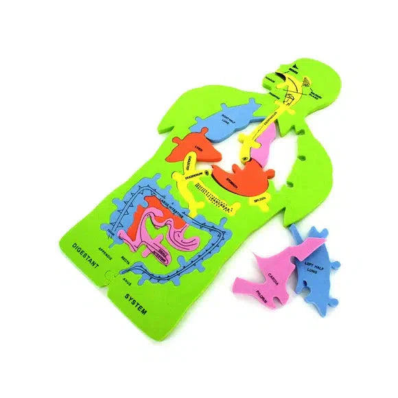 Anatomy 11 Piece Foam Puzzle - for just $5.99! 