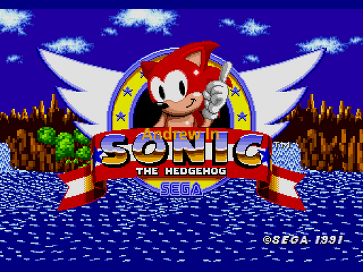 Andrew in Sonic the Hedgehog Sega Genesis Repro Game Cart - for just $19.99! 
