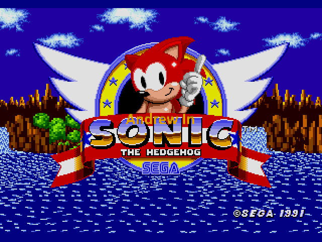 Andrew in Sonic the Hedgehog Sega Genesis Repro Game Cart - for just $19.99! 