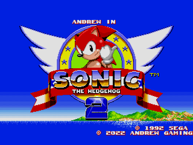 Andrew in Sonic the Hedgehog 2 Sega Genesis Repro Game Cart - for just $19.99! 