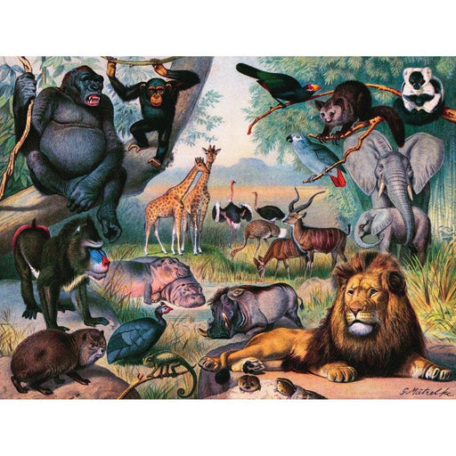 Animals of Africa 1000 Piece Jigsaw Puzzle NYPC - for just $24.99! 