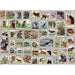 Animals of North America Vintage Stamps 500 Piece Jigsaw Puzzle Eurographics - for just $17.99! 