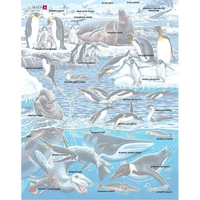 Antarctica Animals 66 Piece Tray Jigsaw Puzzle Larsen - for just $11.99! 