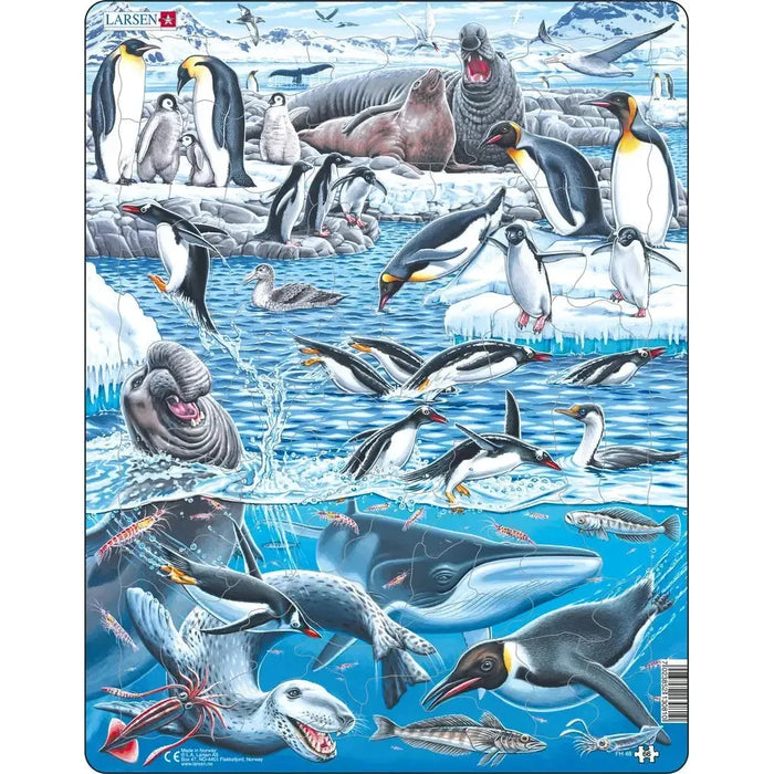 Antarctica Animals 66 Piece Tray Jigsaw Puzzle Larsen - for just $11.99! 