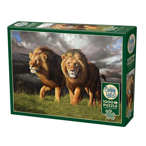 Approaching Storm 1000 Piece Jigsaw Puzzle Cobble Hill - for just $19.99! 