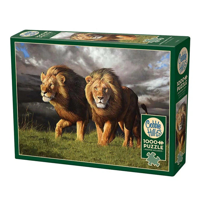 Approaching Storm 1000 Piece Jigsaw Puzzle Cobble Hill - for just $19.99! 